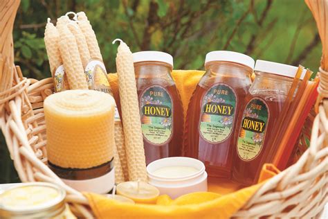 Pricing Your Honey Keeping Backyard Bees
