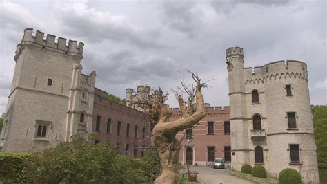 De plantentuin van meise… ik had er al vaak van gehoord, maar ik was er zelf nog nooit geweest. 50-plussers stellen tentoon in Plantentuin Meise | Ring TV ...