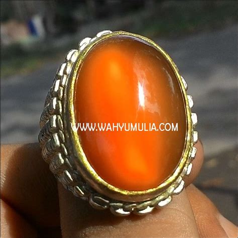 Batu akik, akik klawing, pancawarna, harga akik, fenomena akik, akik langka, kecubung rambut, kalimaya, akik klawing, raflesia Batu Cincin Red Raflesia Bengkulu Mata Kucing [kode:321 ...