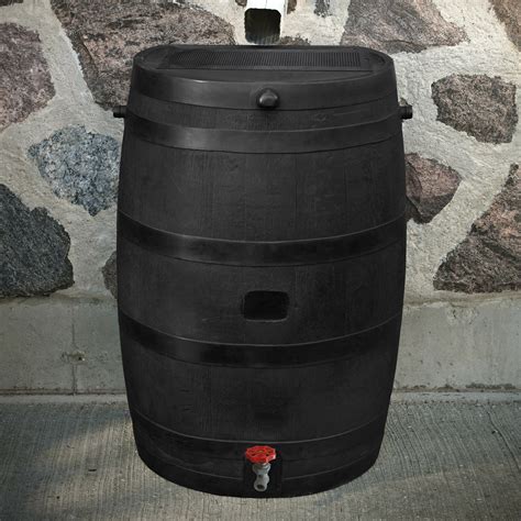 Rts Companies Rts Home Accents 50 Gallon Rain Barrel And Reviews Wayfair