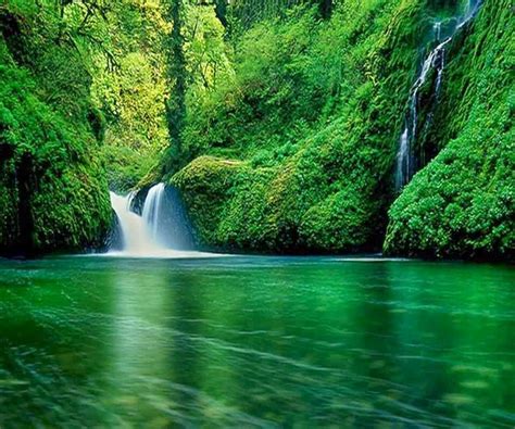 Pin By Eszter Szabó On Nature Waterfall Waterfall Wallpaper Forest