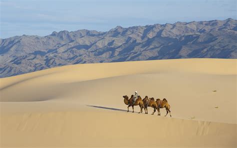 Gobi Desert Travel Box