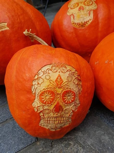 Free Advanced Pumpkin Carving Patterns 2022