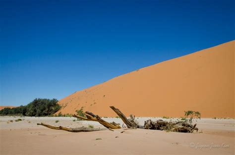 Runaway Photo The Namib Desert