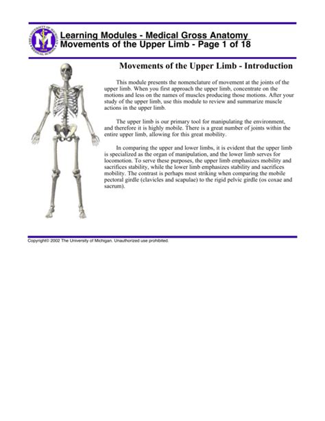 Movements Of The Upper Limb Page 1 Of 18 Learning Modules