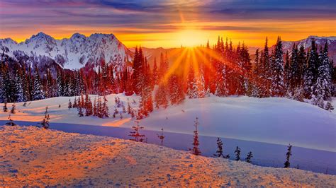 Winter Sunset Over The Mountains Wallpaper Backiee