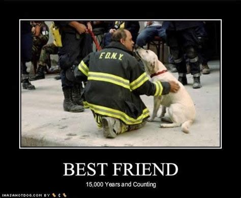 116 Best Images About Firefighters Firehouse Dogs And