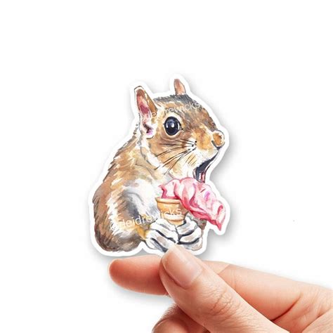 Squirrel Eating Ice Cream Vinyl Sticker Die Cut Decal Etsy
