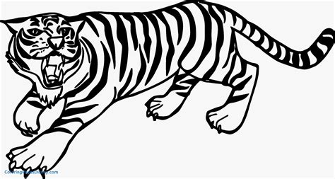 Saber Tooth Tiger Drawing Free Download On Clipartmag