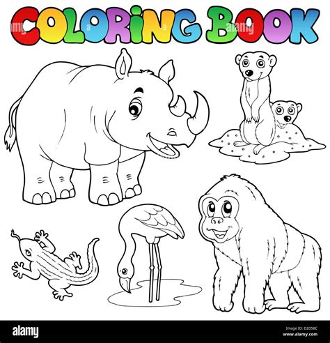 Libro Para Colorear Los Animales De Zoológico Set 1 Ilustración