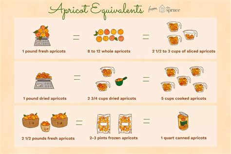 Heres How To Find Out How Many Apricots Are In A Pound Apricot