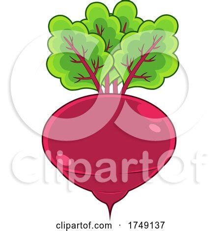 Cartoon Beet by Hit Toon #1749137