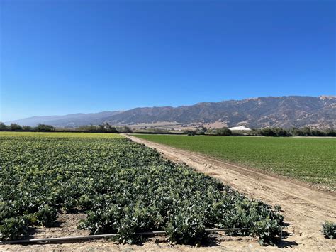 CALIFORNIA WEED SCIENCE SOCIETY on LinkedIn: Weed Day 2024