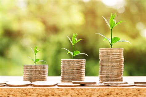 New Service Lines, More Growth: What’s Next For Senior Helpers Under