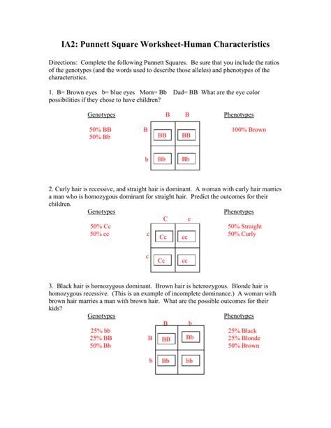 Create a simple visual representation of each of the phenotypes that correspond with the independent assortment, incomplete dominance, codominance. Punnett Square Worksheet