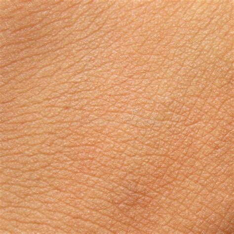 Human Skin 4 Seamless Textures Skin Textures Skin Str