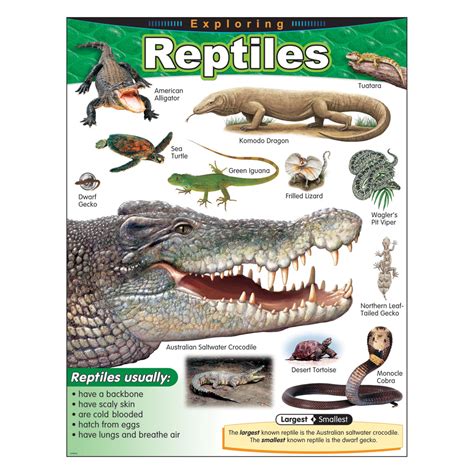 Learning Chart Exploring Reptiles T38181 — Trend Enterprises Inc