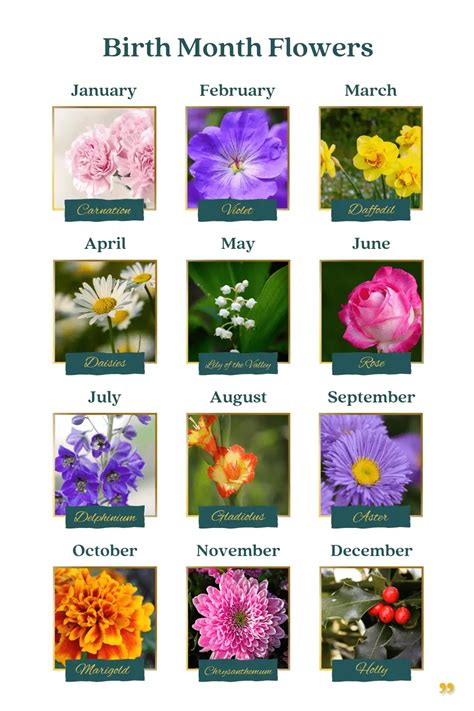 Birth Flowers For Each Month Pictures Best Flower Site