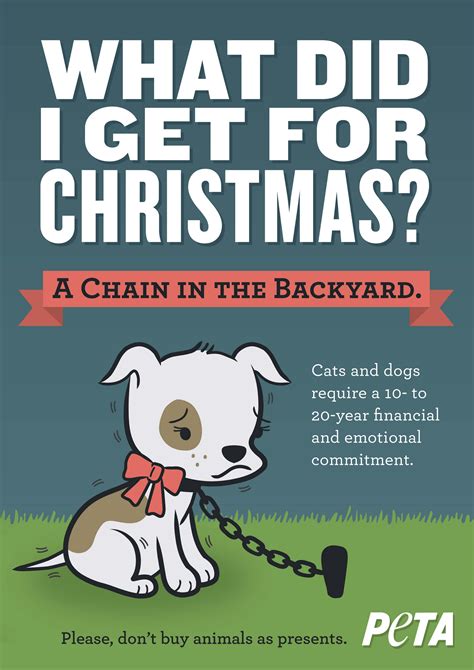 5 Reasons Never To Give A Puppy Or Kitten As A Christmas T Peta