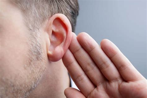 Hearing Sense Recovery Review Read Before You Buy