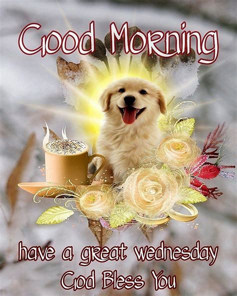 Happy Dog Good Morning Have A Great Wednesday Pictures Photos And