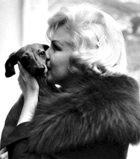 Holding Dachshund Photographed In 1959 By Paul Slade Marilyn Monroe