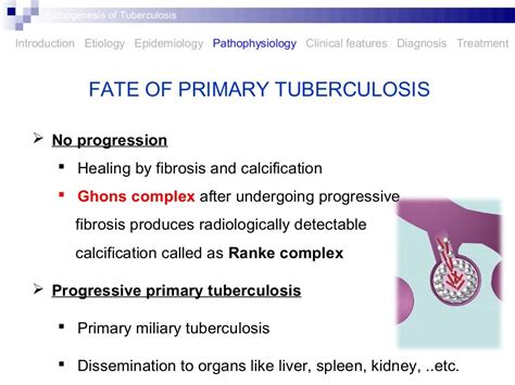 Pathogenesis Of Tuberculosis