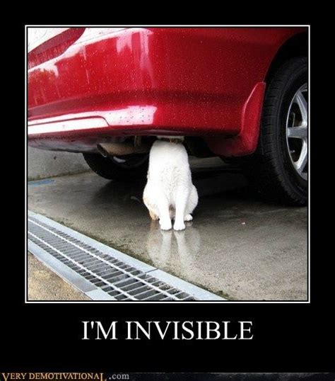 Im Invisible Im Invisible Funny Demotivational Posters