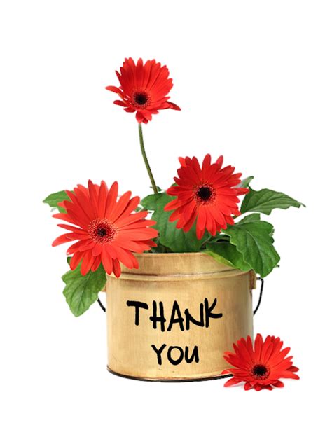 Floral thank you red gerbera daisy flowers postcard | zazzle.com. ,thank you,fleurs,merci