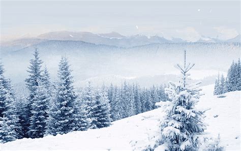 Animated Snowing Winter Scene Email Backgrounds Id 23141