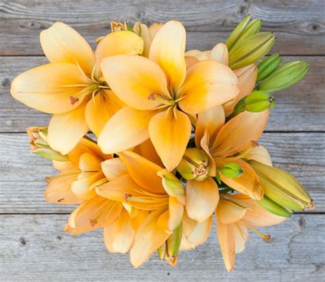 Peach Asiatic Lillies Townandcountrymag Com Next Flowers Mothers Day