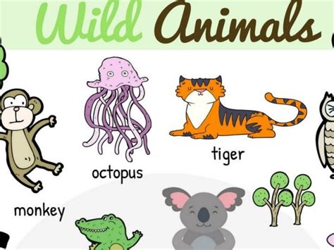 Learn Animal Names In English Eslbuzz Learning English Animals Name