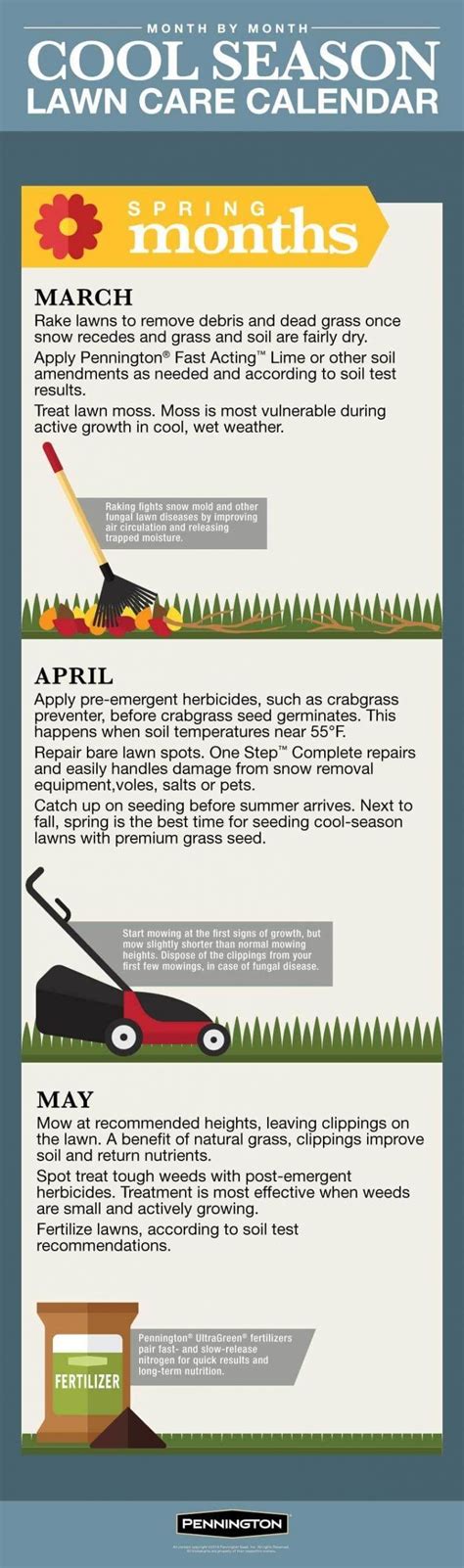 Lawn Care Calendar For Cool Season Lawns Infographic In 2020 Care