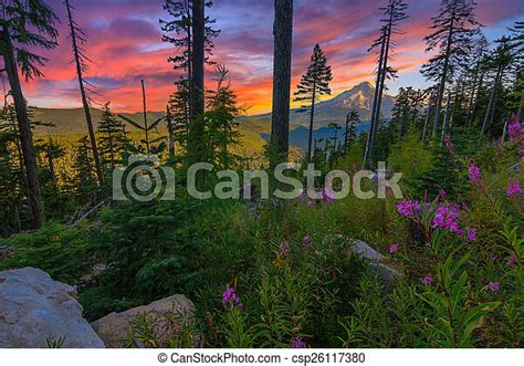 Beautiful Vista Of Mount Hood In Oregon Usa Majestic View Of Mt Hood