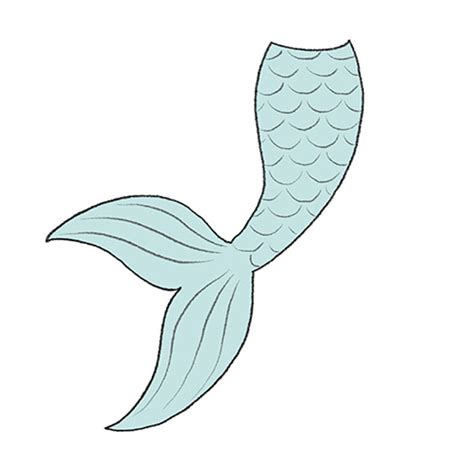 How To Draw Mermaid Tails Cliparts Co