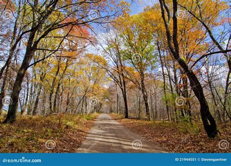 Dirt Road Forest Autumn Stock Image Image Of Leaves 21944551