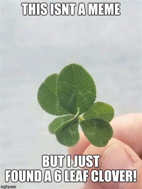 6 Leafs Of Luck Imgflip