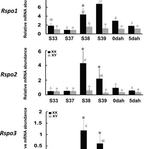 Expression Profiles Of Rspo12 And 3 During The Critical Period Of Sex Download Scientific