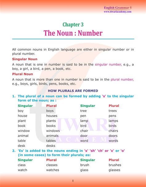 Class 5 English Grammar Chapter 3 The Noun Number Singular Plural