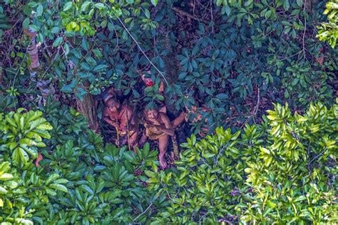 incredible photos of an uncontacted amazon tribe that doesn t know our civilization exists 1