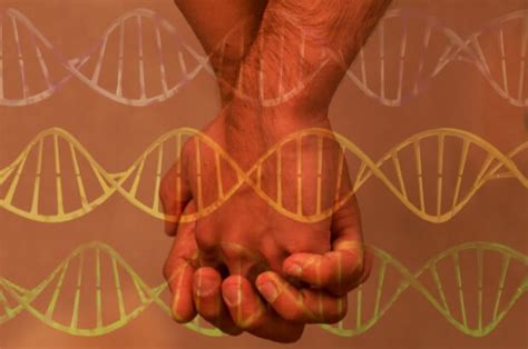 Despite What You May Have Read There S No Gay Gene Genetic Literacy Project
