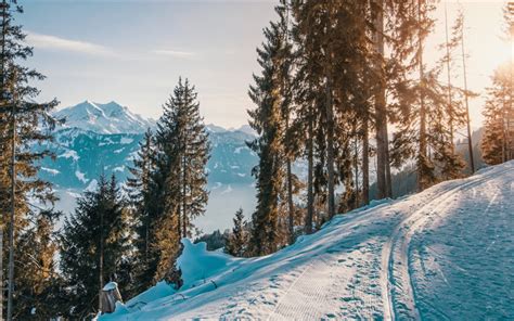 This is kasseler berge 2 by mac guffin on vimeo, the home for high quality videos and the people who love them. Télécharger fonds d'écran montagnes, hiver, forêt, neige ...
