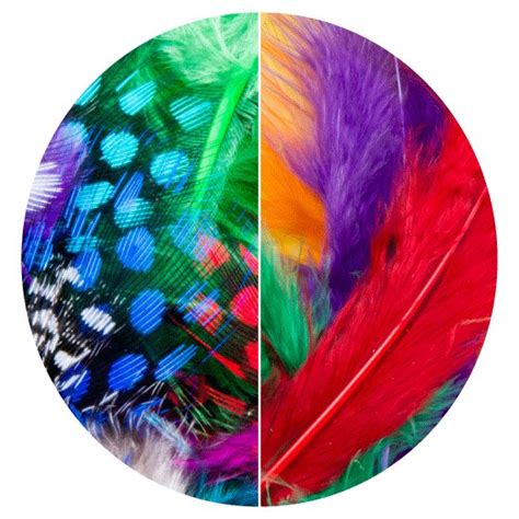 Dala Mixed Coloured Feathers 15cm
