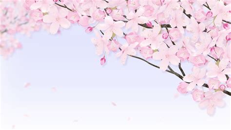 Animated Scene Of A Cherry Blossom Tree Over Some Water The Clip Can