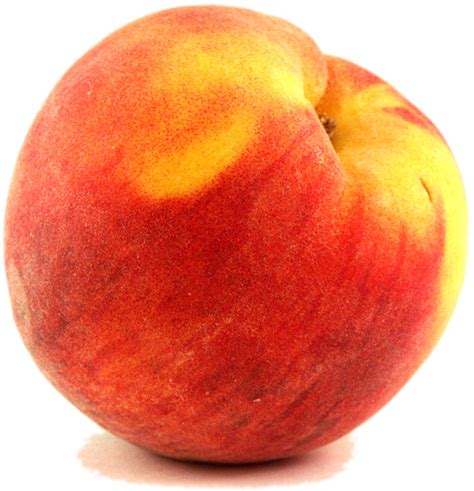 Png Peach Transparent Peachpng Images Pluspng