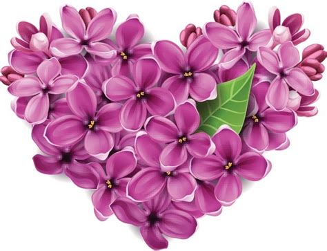Free Vector Lilac Flower Made Heart Free Vector In Encapsulated