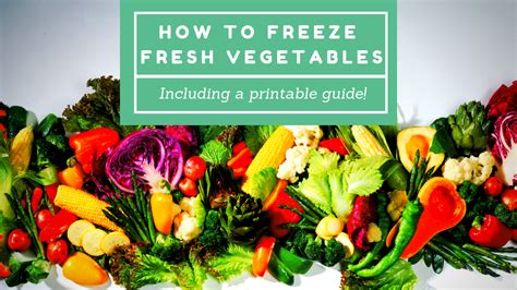 How To Freeze Fresh Vegetables Southern Savers