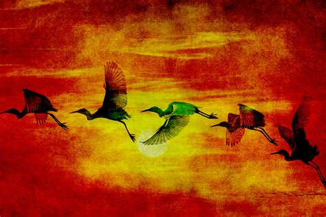 Birds Sunset Vintage Painting Free Stock Photo Public Domain Pictures
