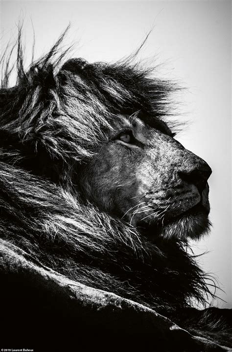 Stunning Black And White Pictures In New Teneues Book By Laurent Baheux