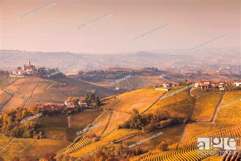 Elevated Landscape With Autumn Vineyards And Hill Villages Langhe
